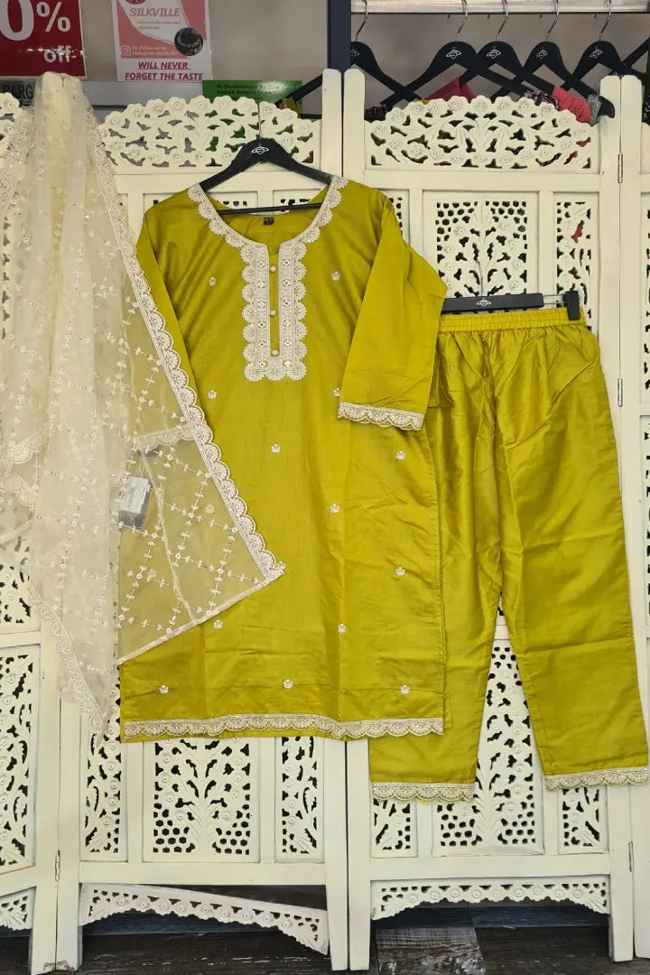 Sratight Silk Kurta set in Blue