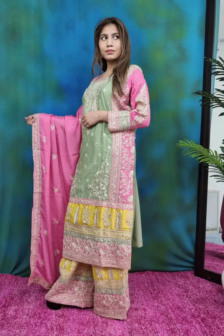 Pakistani Style Partywear Suit  in Multi