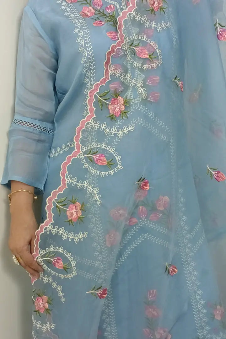 Pakistani ThreadWork Embroidered Organza Kurta Set With beutiful Duppatta in Sly Blue