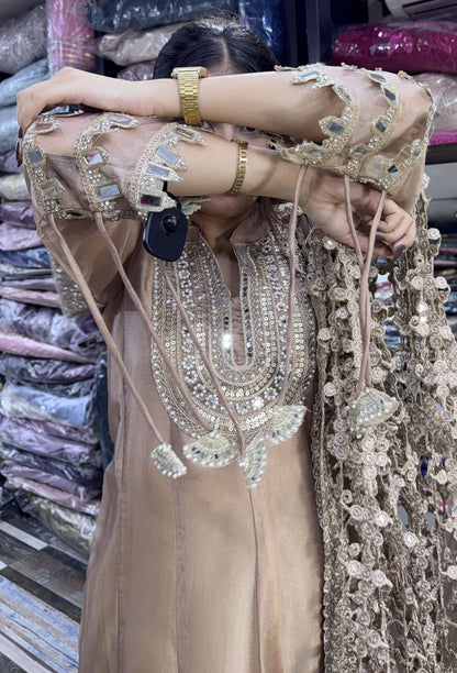 Pure Shimmer Tissue Silk Anarkali with Embroidered Jaal Dupatta