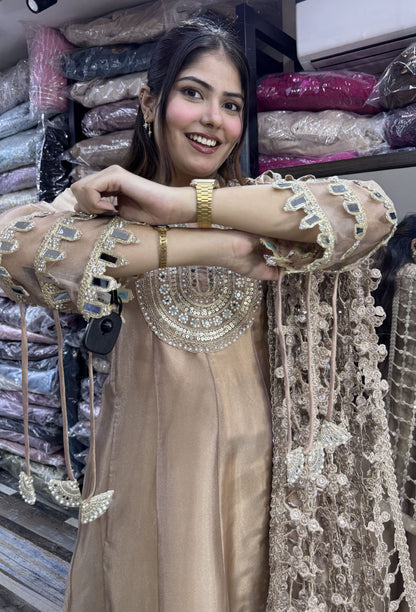 Pure Shimmer Tissue Silk Anarkali with Embroidered Jaal Dupatta