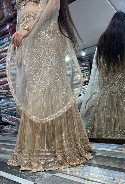 Fish-Cut Crop Top Skirt Set with Hand Embroidered Golden Cape