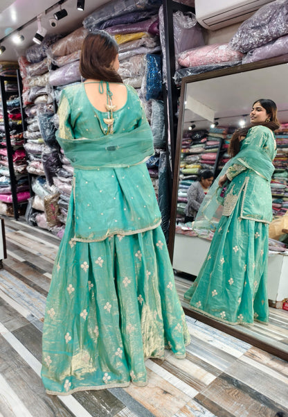 Organza Silk Dori Embroidered Indo Western Dress with Long Shirt