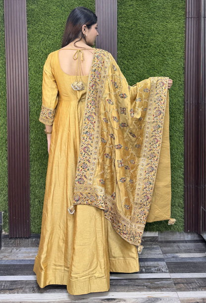 Silk Paneled V neck Design Anarkali With Fulkari Dupatta