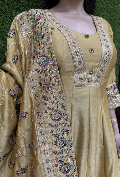 Silk Paneled V neck Design Anarkali With Fulkari Dupatta