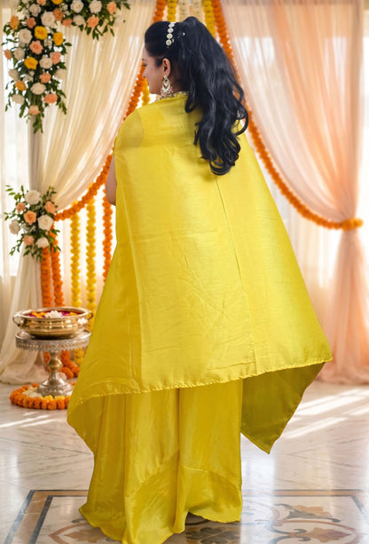Hand Embroidered 3 Piece Indo-Western Dress with Embellished Blouse & Shrug