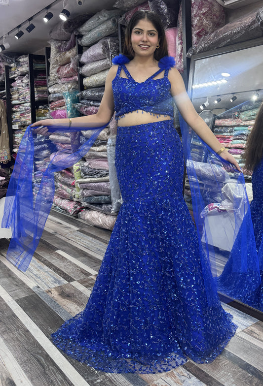 Hand Embellished Fish Cut Lehenga with Designer Blouse & Sleeves