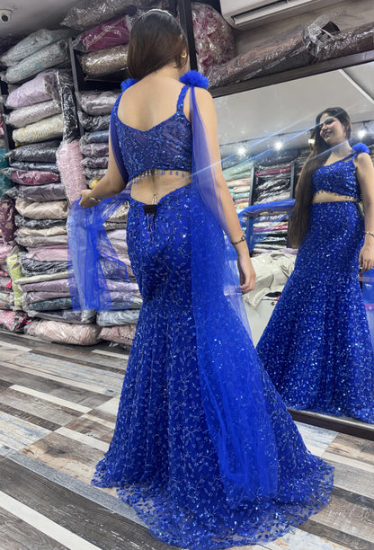 Hand Embellished Fish Cut Lehenga with Designer Blouse & Sleeves