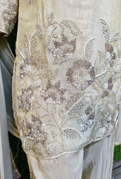 Beautiful Designer Shimmer Tissue Co-ord Style Hand Embellished Palazzo Suit with Heavy Embroidered Bottom