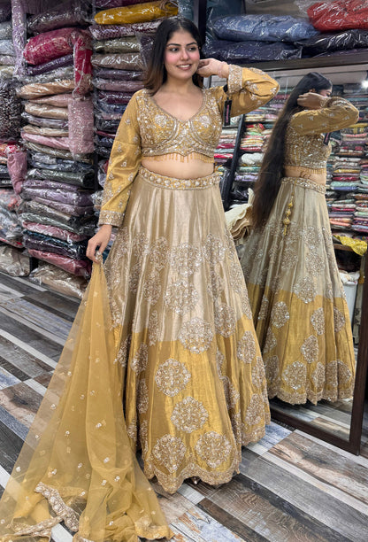 Dual Tone Lehenga Choli with Dupatta and Full Sleeves