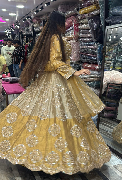 Dual Tone Lehenga Choli with Dupatta and Full Sleeves