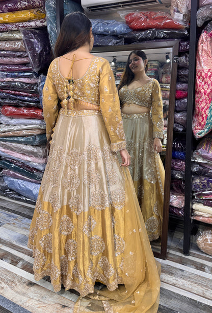 Dual Tone Lehenga Choli with Dupatta and Full Sleeves