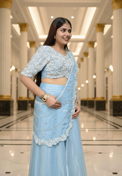 Organza Hand Work Drape Saree In Pastel Shade