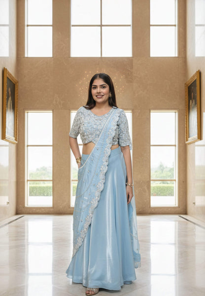 Organza Hand Work Drape Saree In Pastel Shade